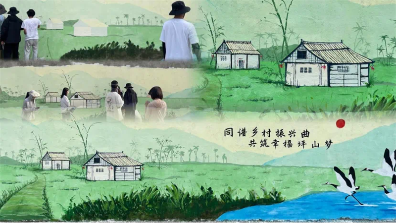 图片12