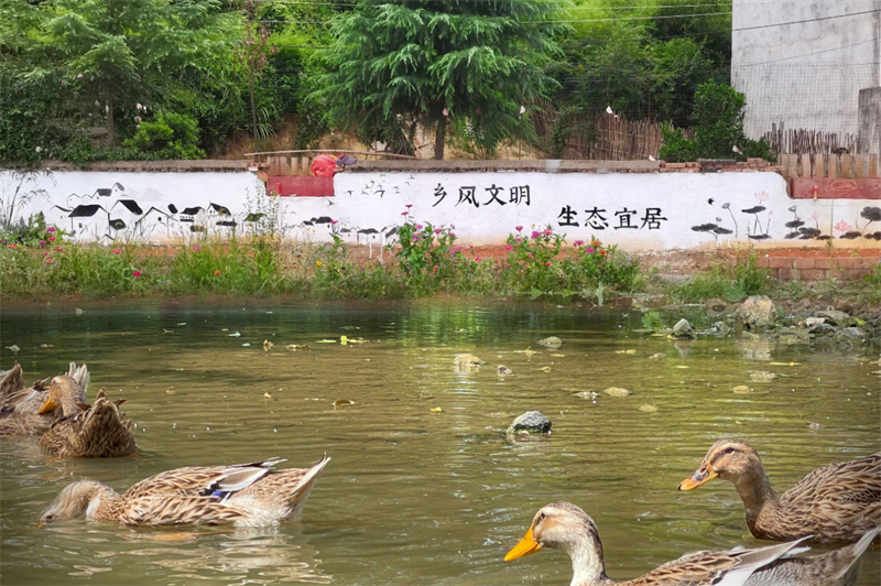 图片13
