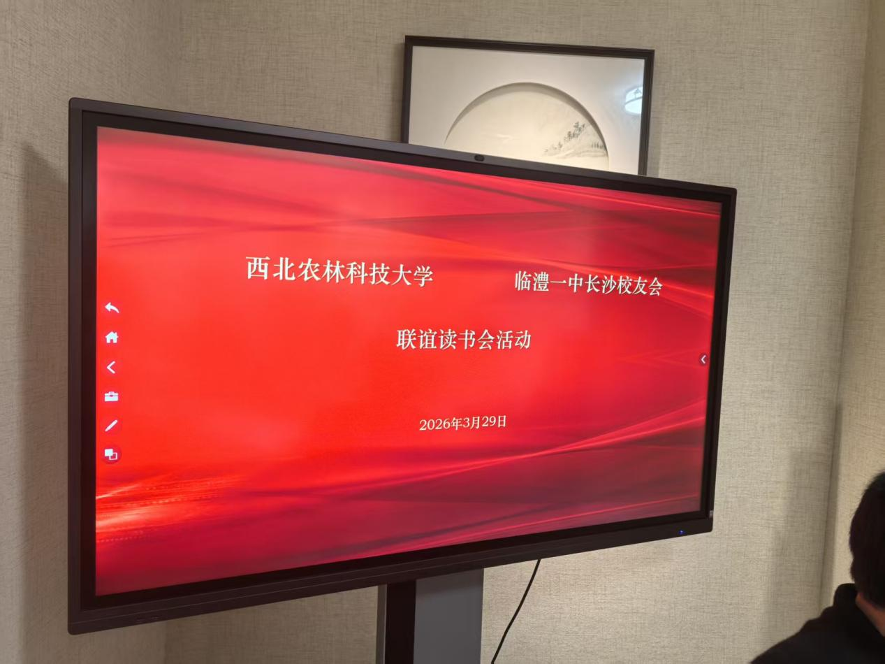 图片 3