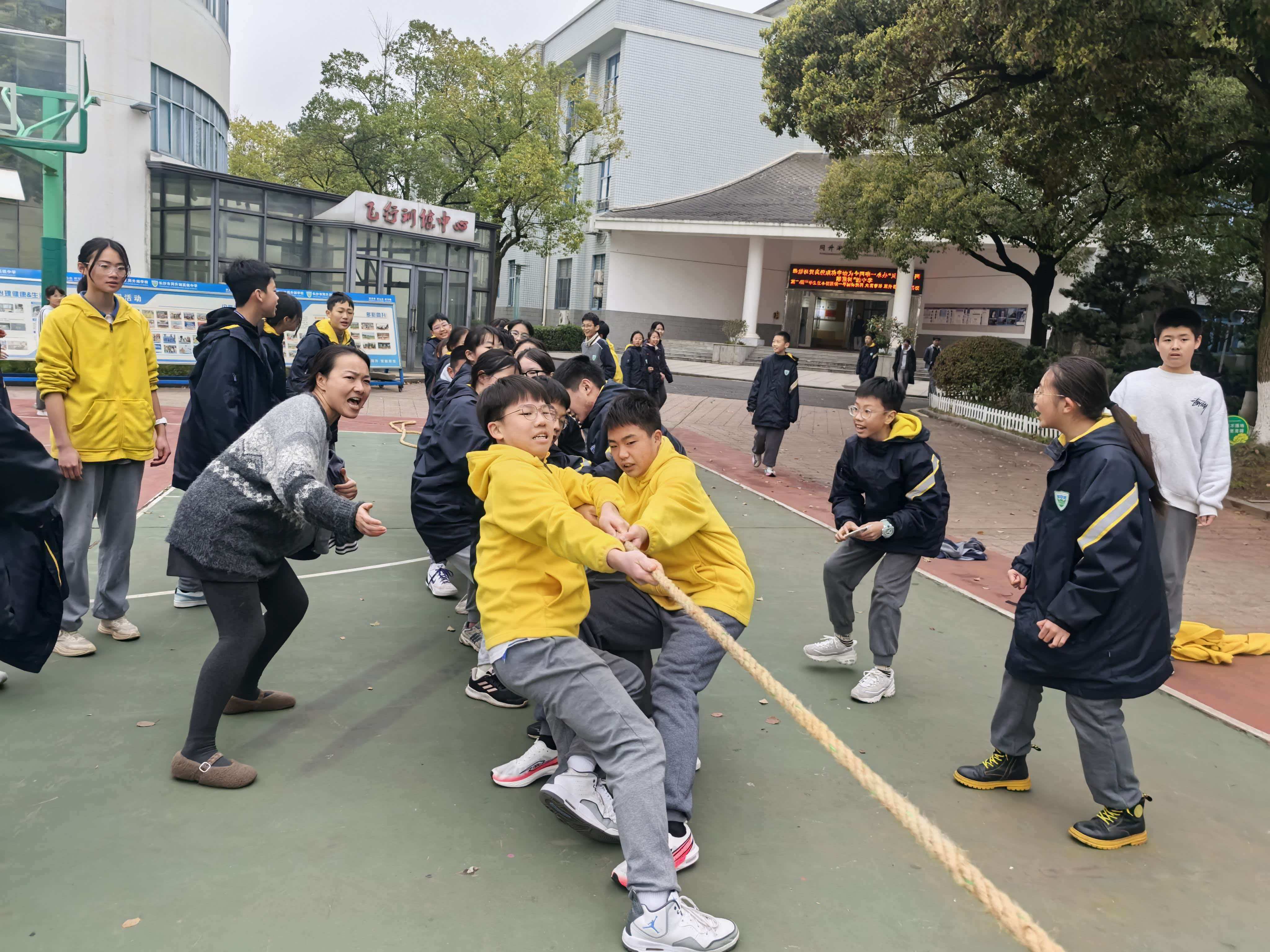 图片 3