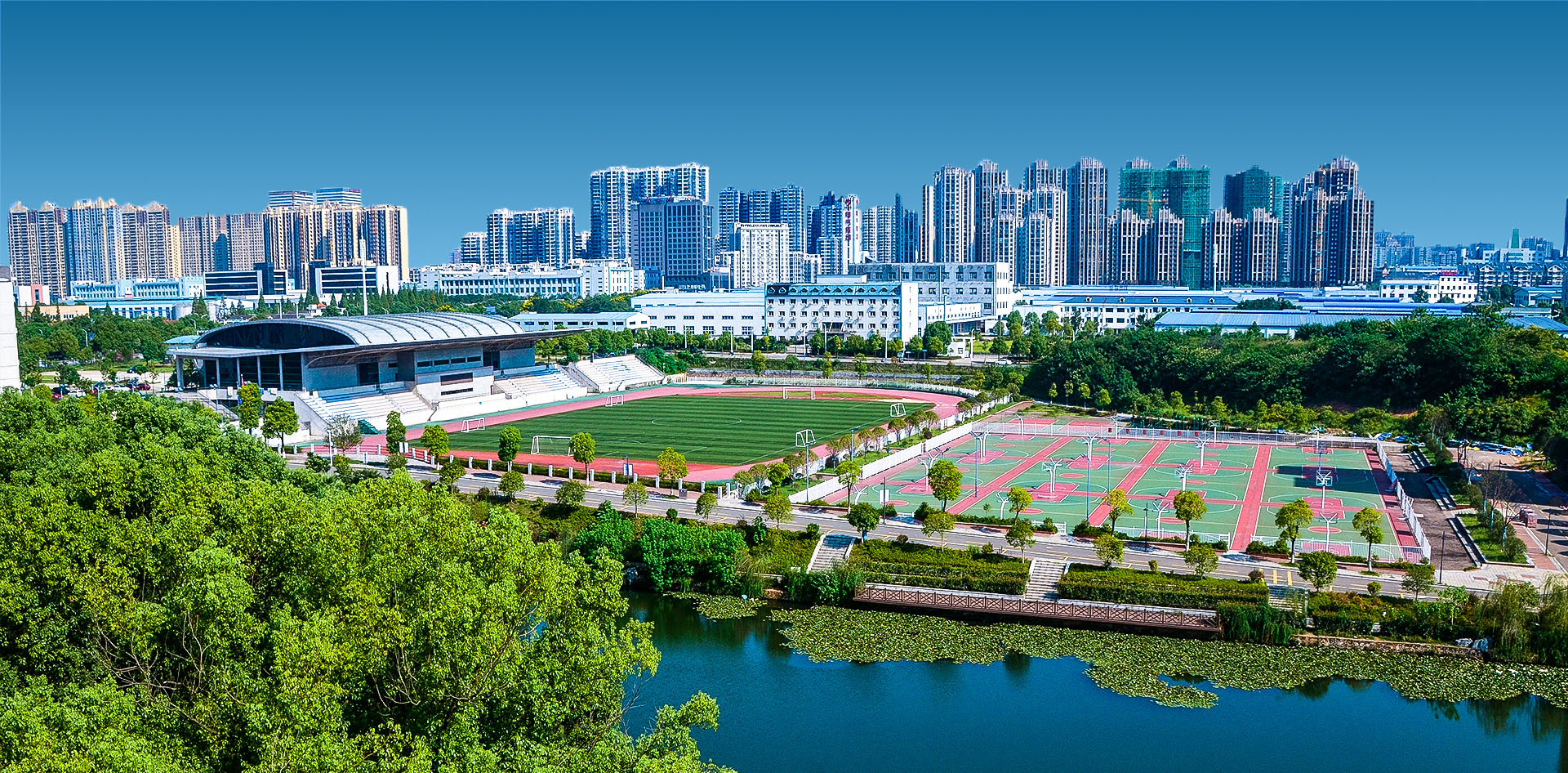 wangzhanfengmiantu6