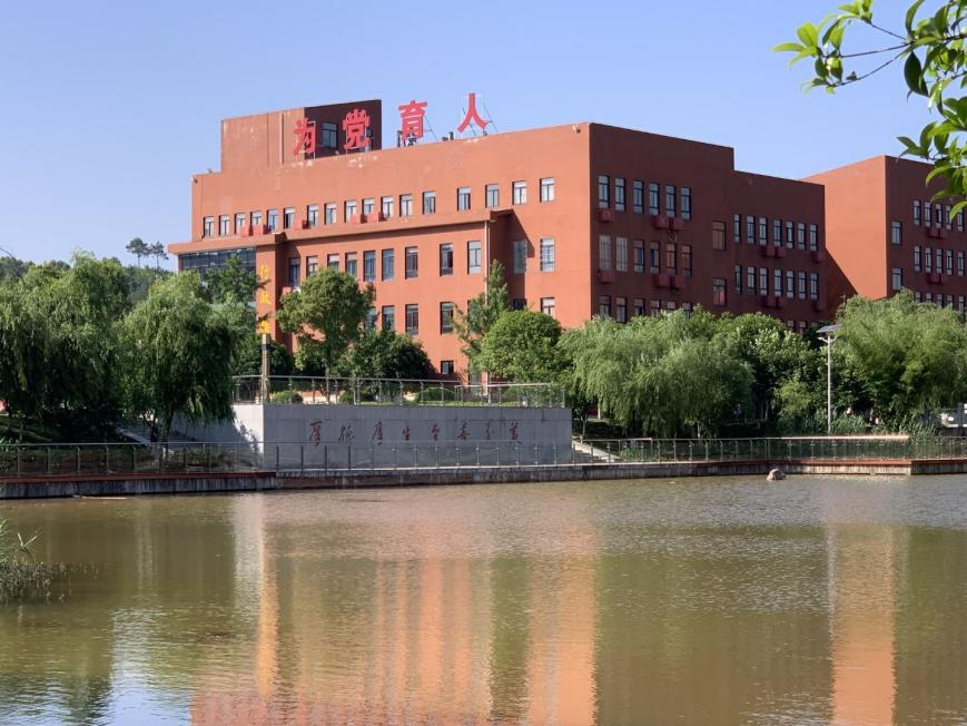 图片 9